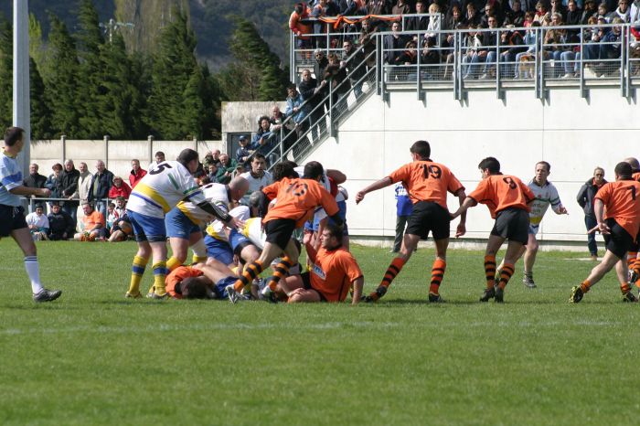 Cliquez pour voir l'image en taille relle